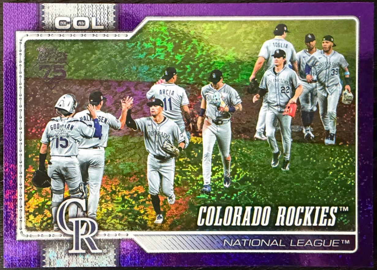 Team Card [Purple Rainbow Foil] #508