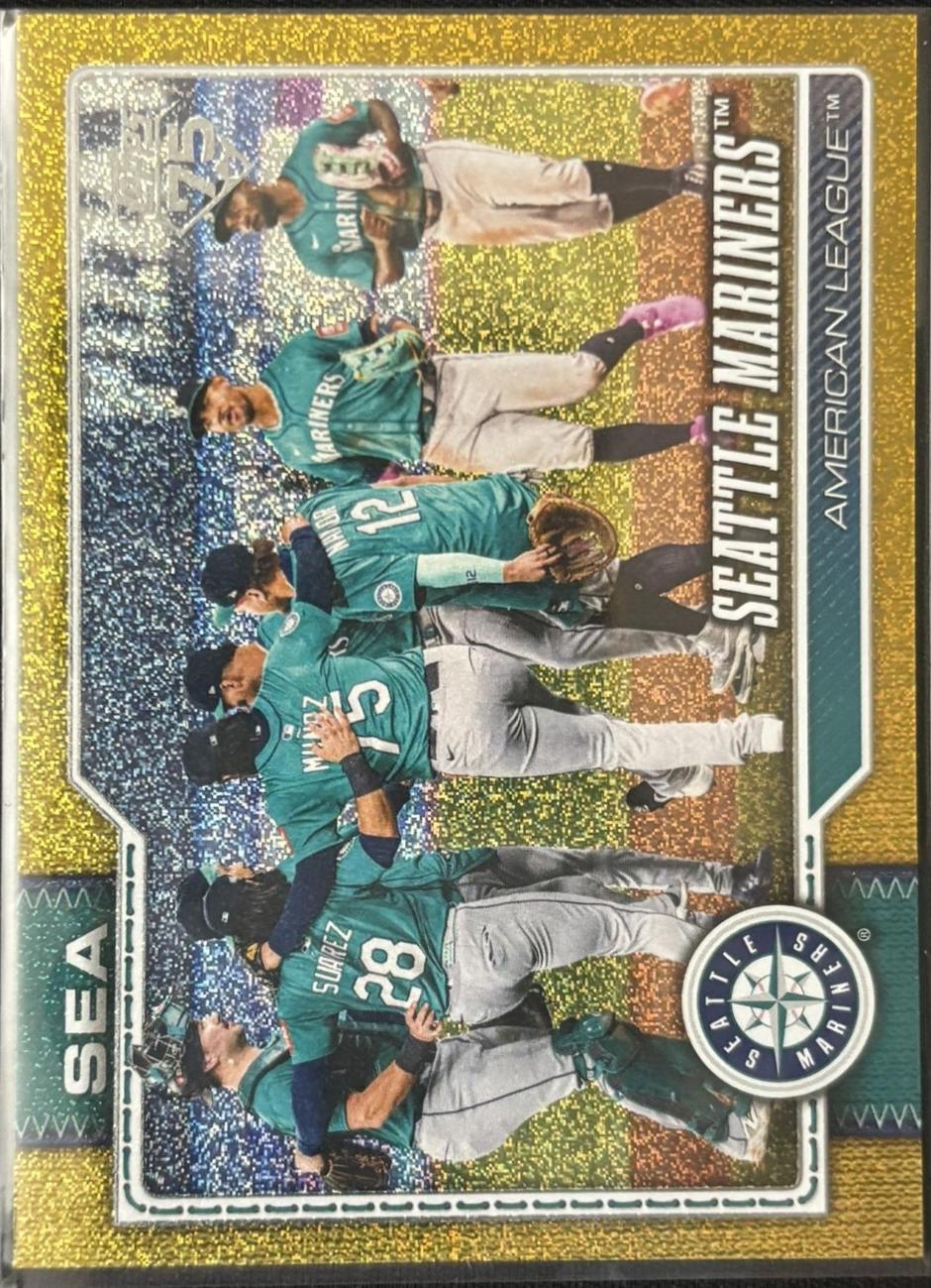 Team Card [Sandglitter Gold] #525