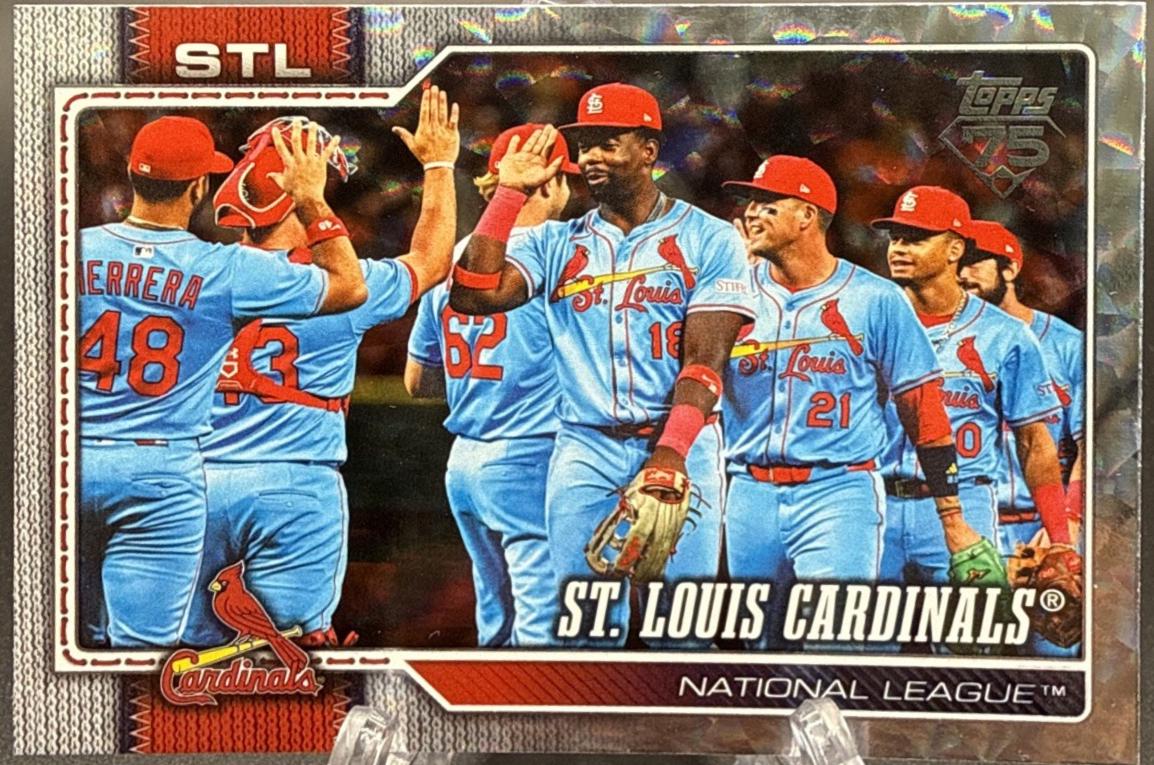Team Card [Silver Crackle Foil] #353