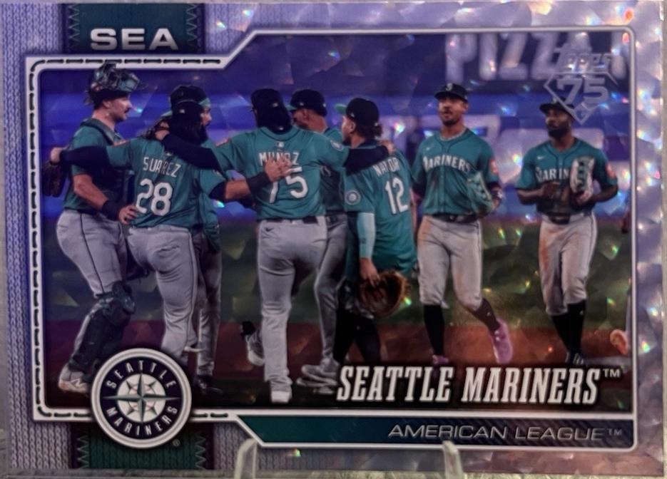 Team Card [Silver Crackle Foil] #525