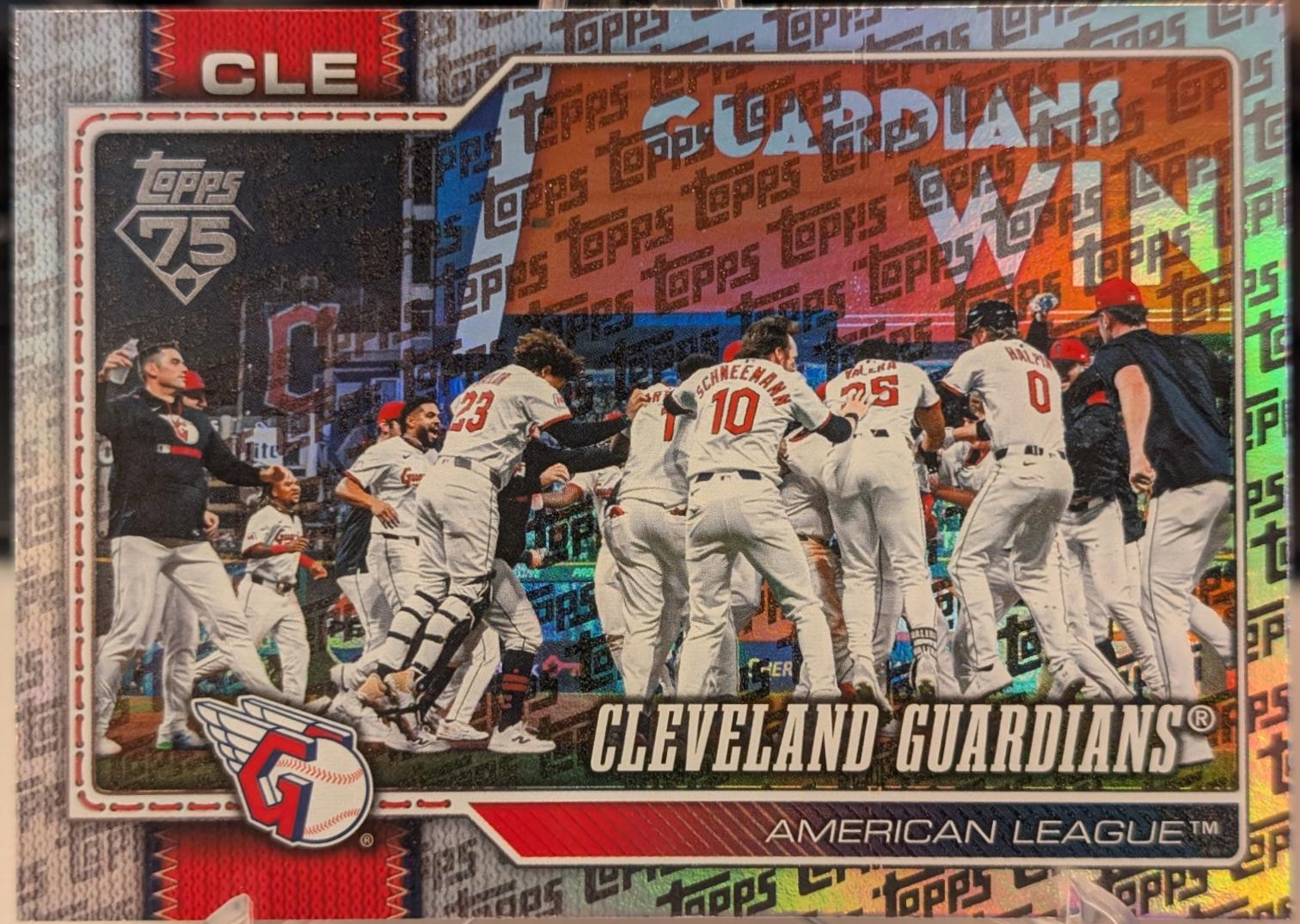 Team Card [Topps Pattern] #492
