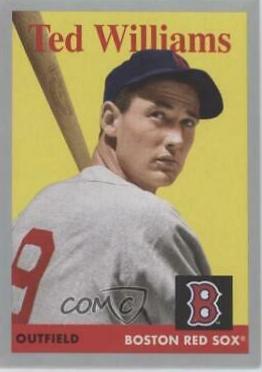 Ted Williams [Silver] #24