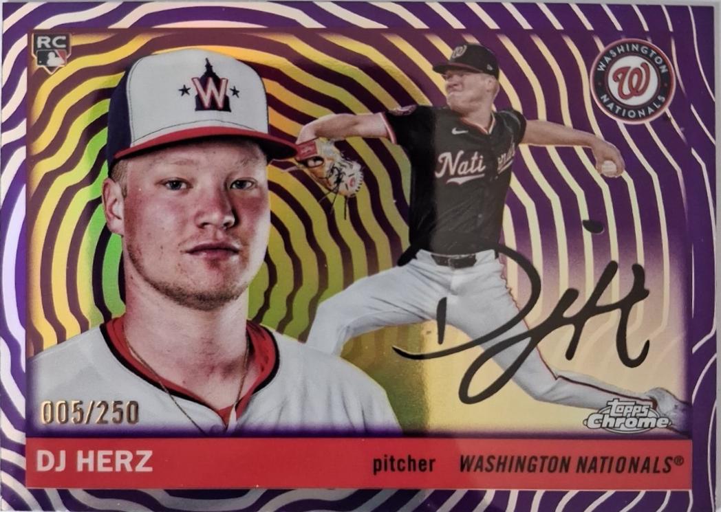 DJ Herz [Vibrations Refractor] #355