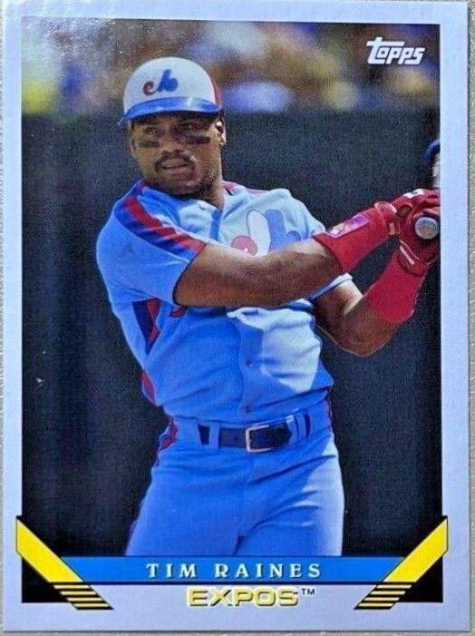 Tim Raines [Silver] #220