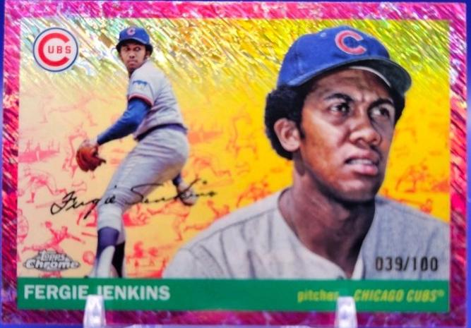 Fergie Jenkins [Toile Cream Fuchsia Shimmer] #364
