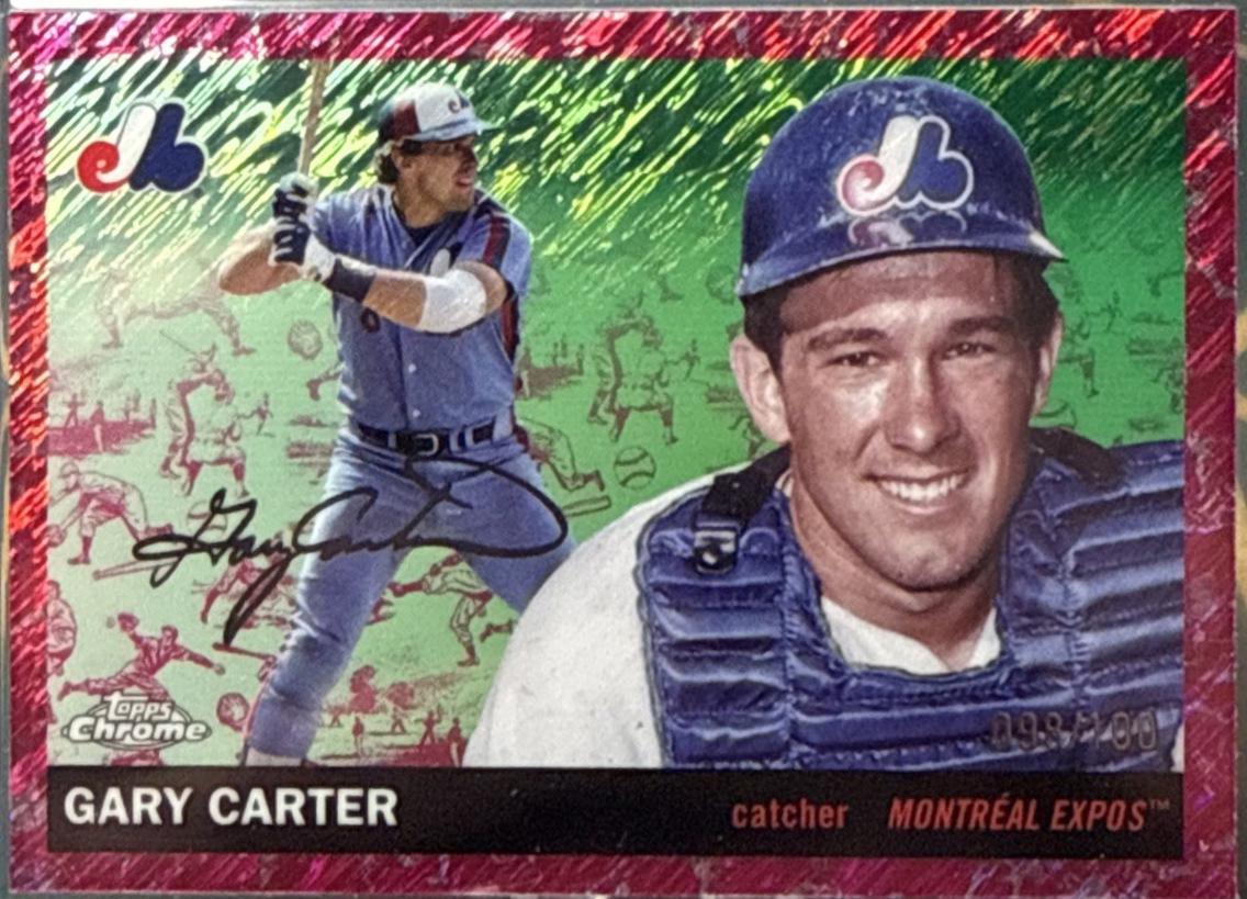 Gary Carter [Toile Cream Fuchsia Shimmer] #482