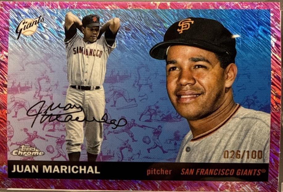 Juan Marichal [Toile Cream Fuchsia Shimmer] #208