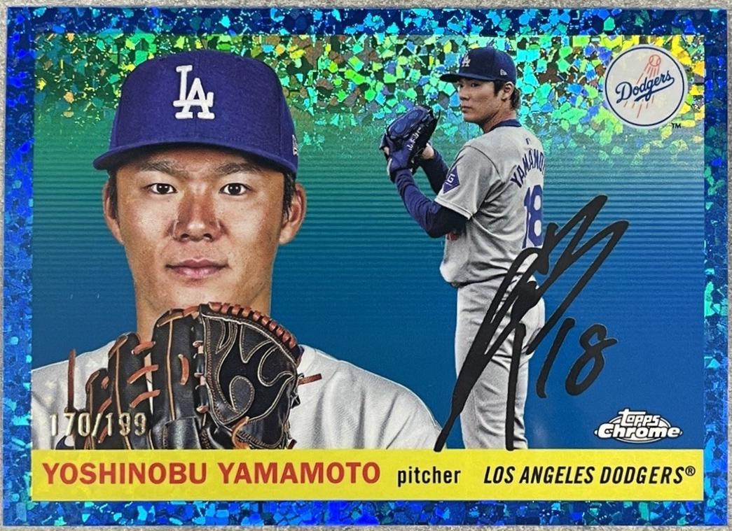 Yoshinobu Yamamoto [Speckle Refractor] #8