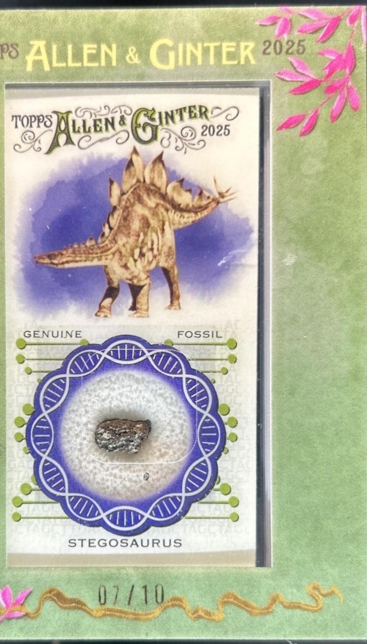 Stegosaurus #DNAR-S