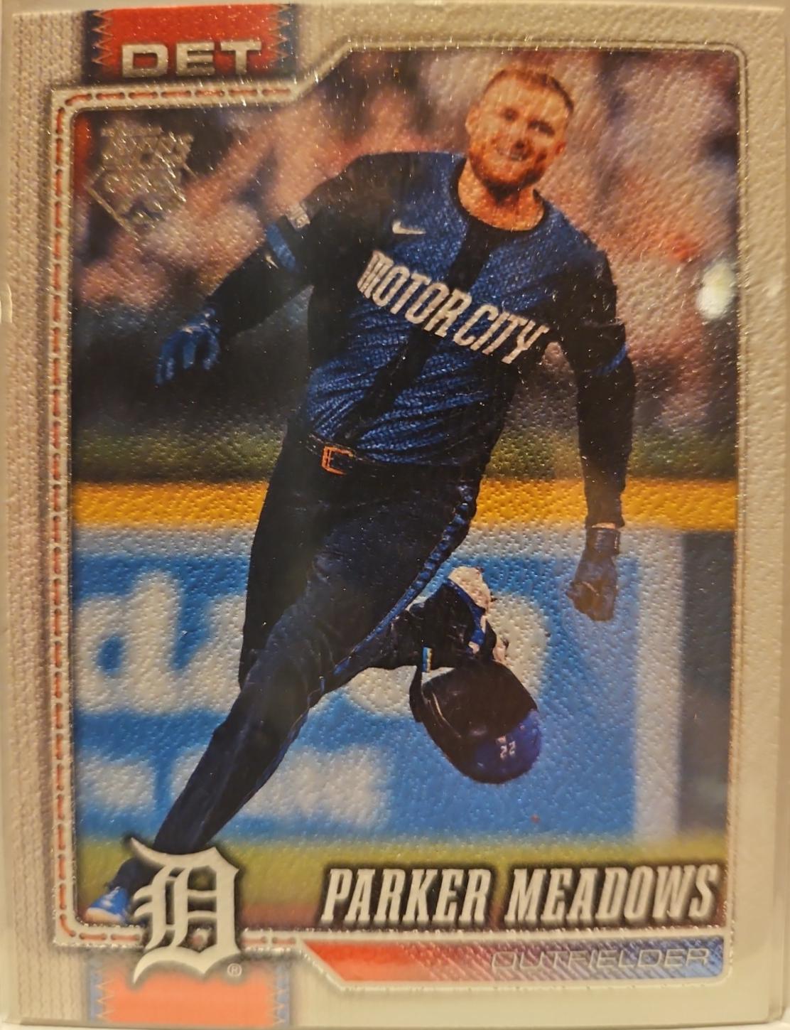 Parker Meadows [Canvas] #404