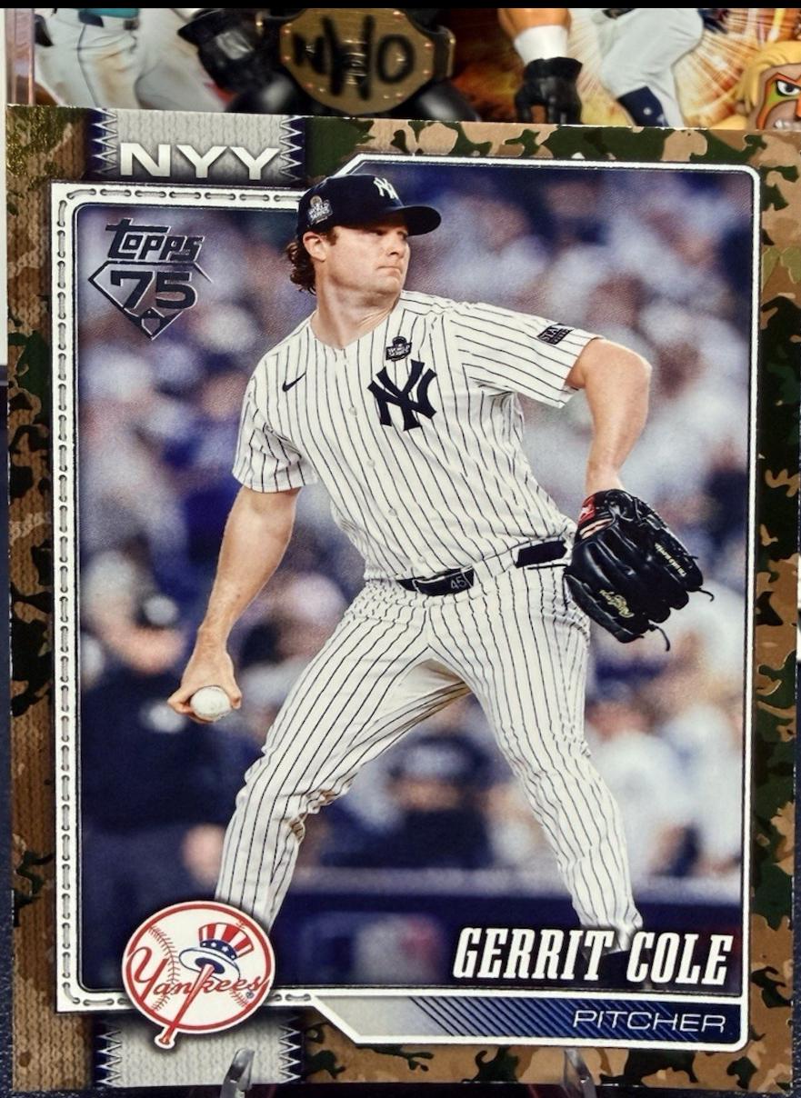 Gerrit Cole [Memorial Day Camo] #450