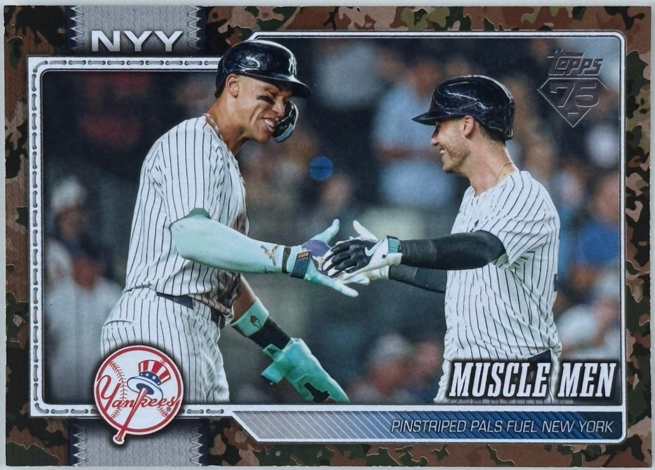 Aaron Judge [Memorial Day Camo] #479