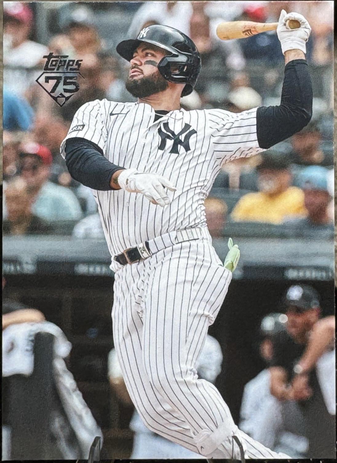 Jasson Dominguez [True Photo Variation] #533