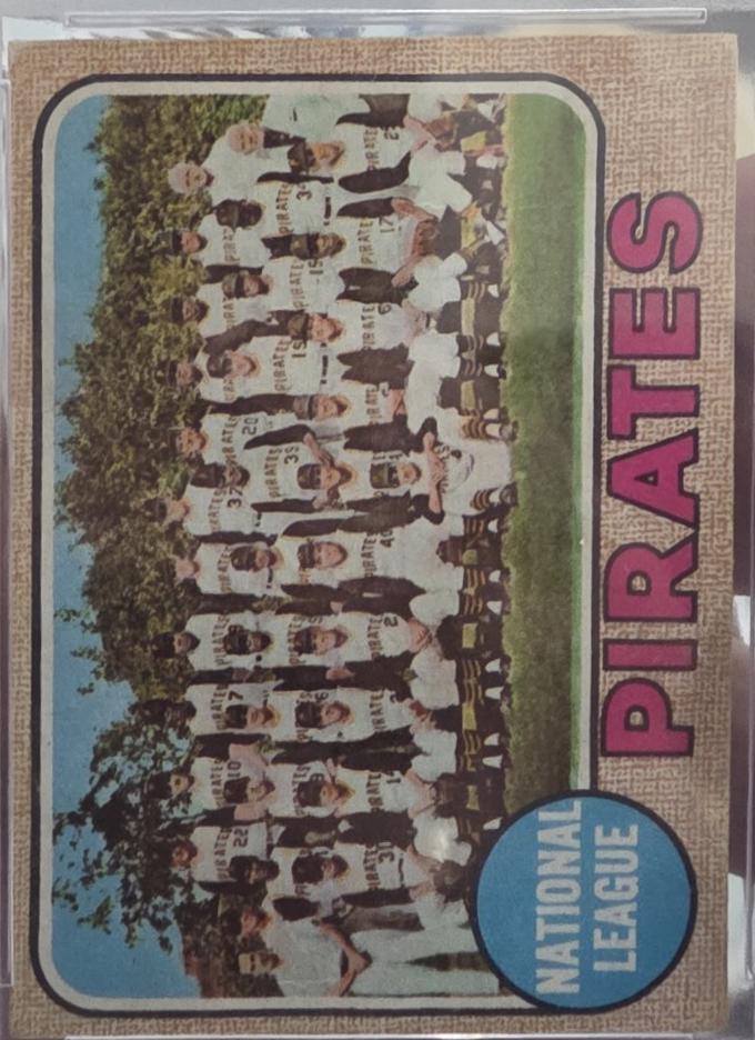 Pirates Team #308