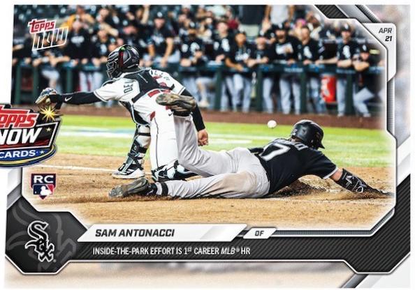 Sam Antonacci #105