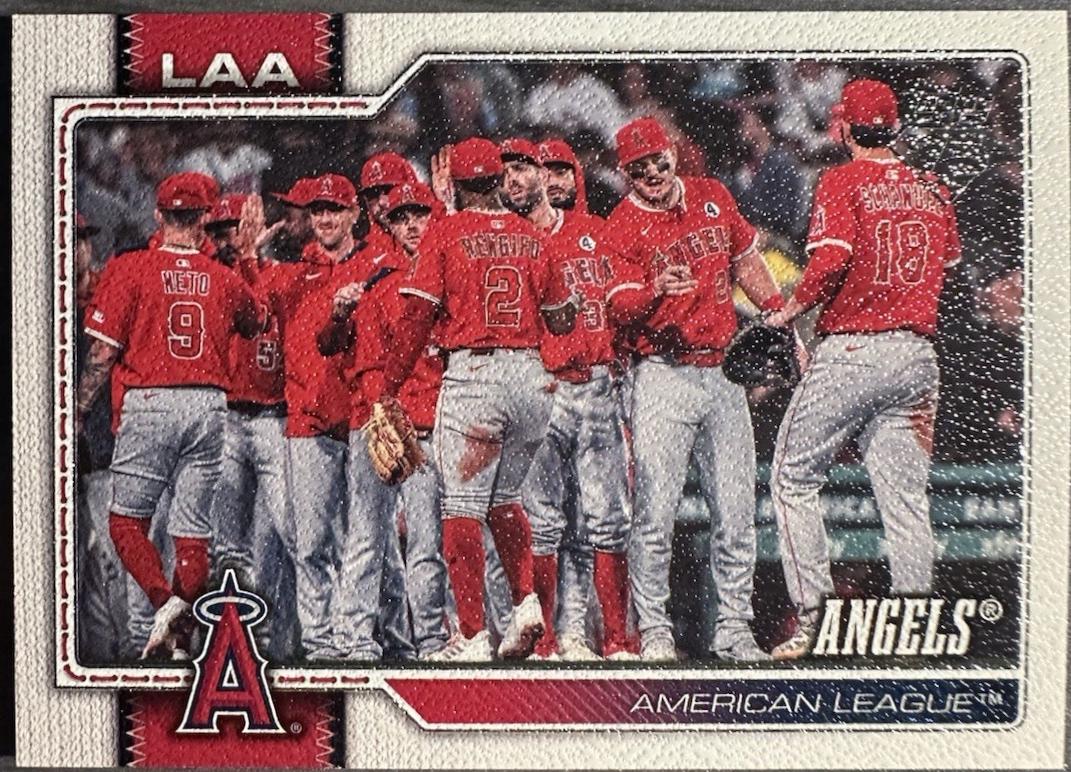 Team Card [Canvas] #476
