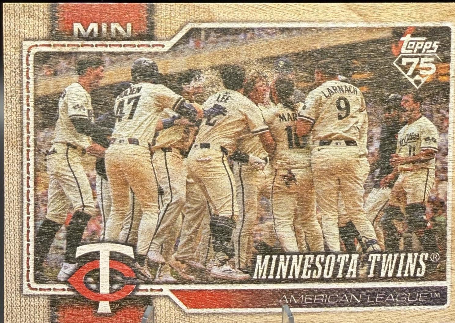 Team Card [Wood] #491