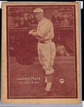 Sammy Hale [Hand Cut] #44