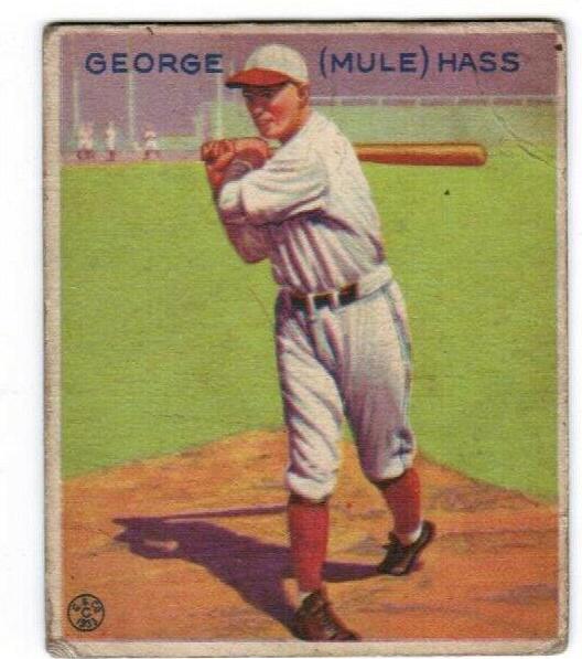 Mule Haas #219