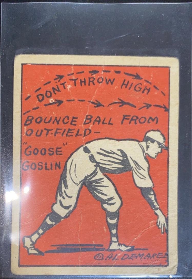 Goose Goslin #27