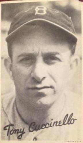 Tony Cuccinello