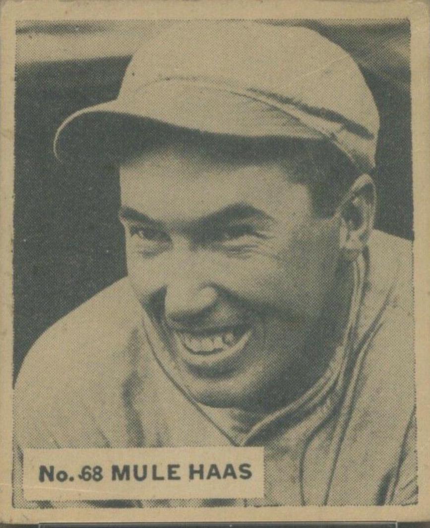 Mule Haas #68