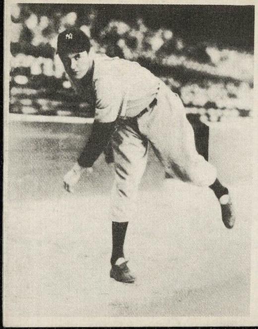 Vernon Gomez [Sample] #48
