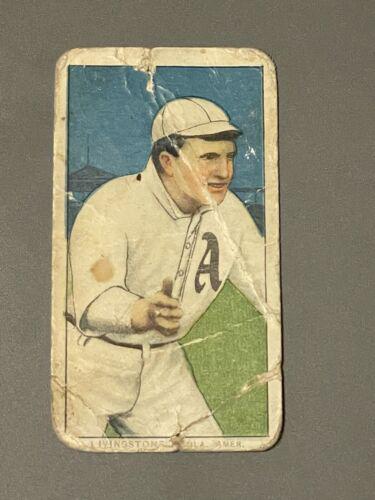 Paddy Livingston