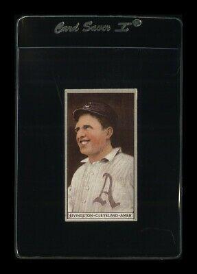 Paddy Livingston [A On Shirt]