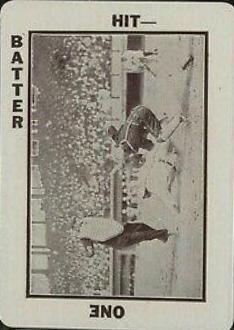 Sliding Into Home [Umpire at Left]