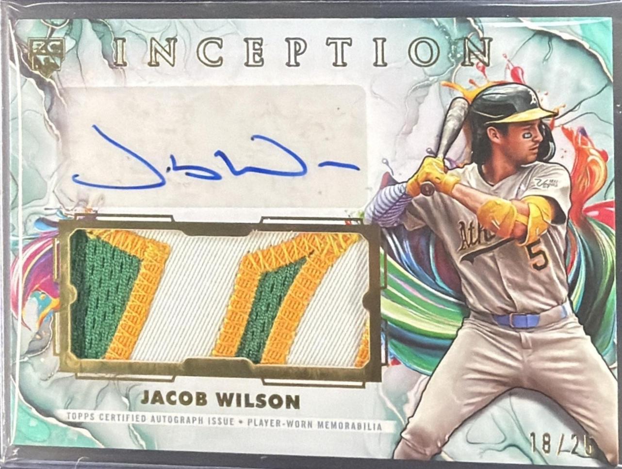 Jacob Wilson [Inception] #IAPC-JWI