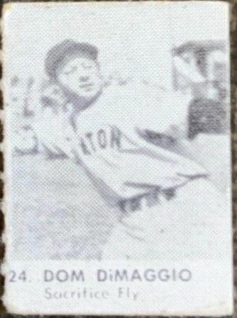 Dom DiMaggio #24