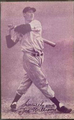 Ted Williams #30