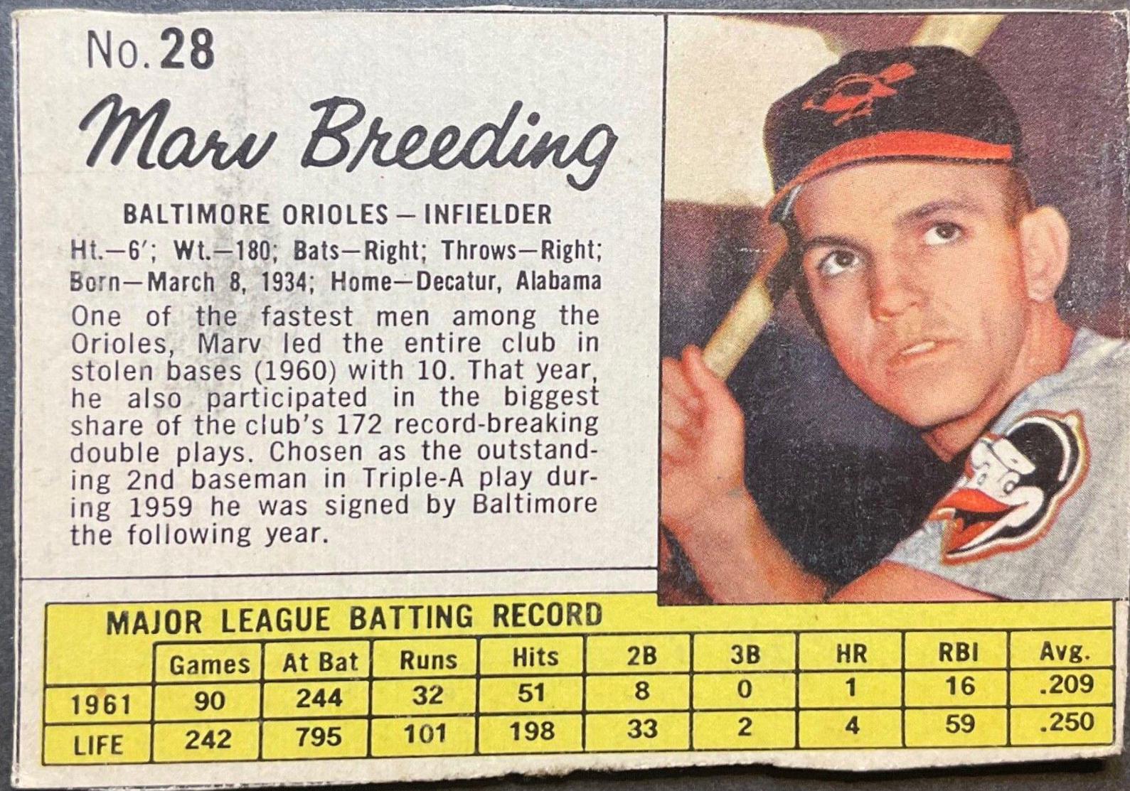 Marv Breeding [Hand Cut] #28