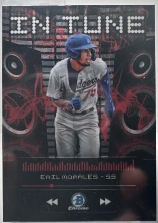 Emil Morales #IT-14
