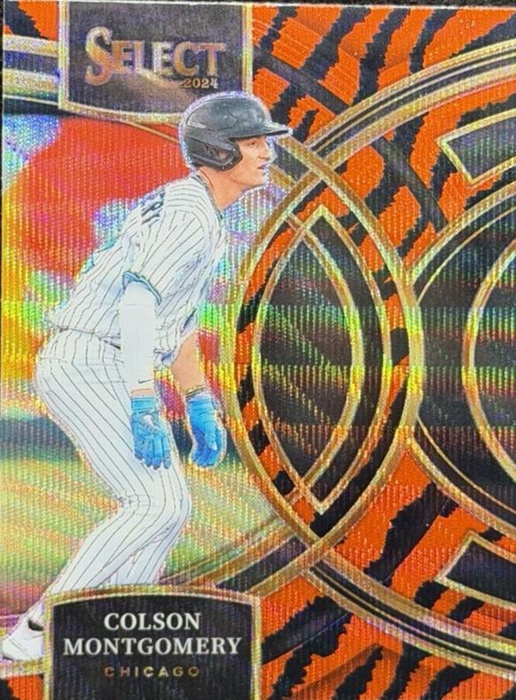 Colson Montgomery [Tiger Prizm] #40