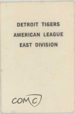 Detroit Tigers