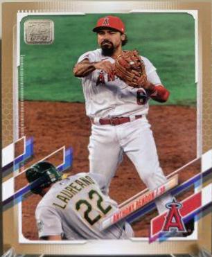 Anthony Rendon [Gold] #550