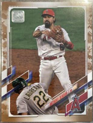 Anthony Rendon [Memorial Day Camo] #550