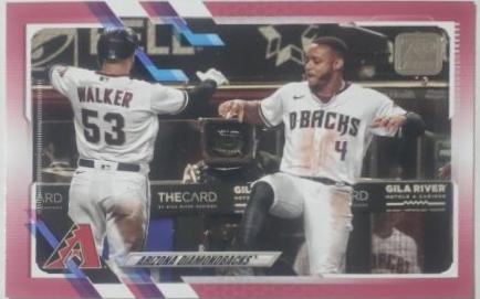 Arizona Diamondbacks [Mother's Day Pink] #287