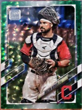 Austin Hedges [Green] #572