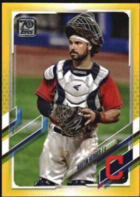 Austin Hedges [Yellow] #572
