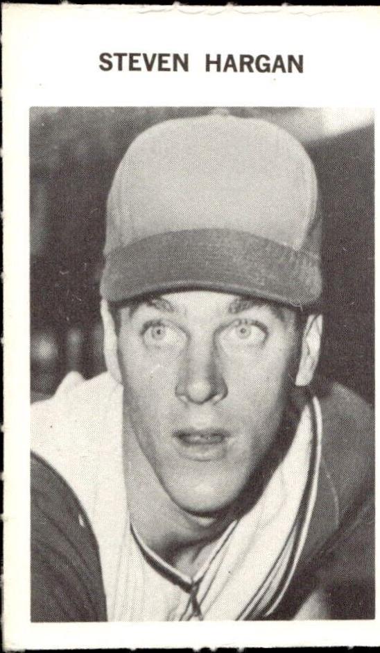 Steve Hargan