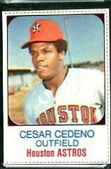 Cesar Cedeno [Hand Cut] #17