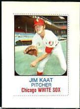 Jim Kaat [Hand Cut] #110