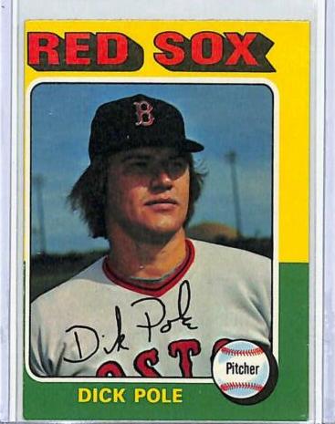 Dick Pole #513