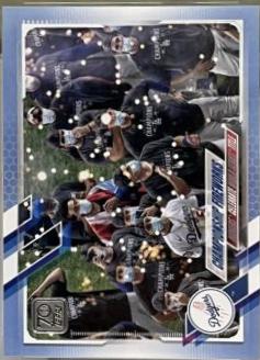Champion Fireworks [Father's Day] #490