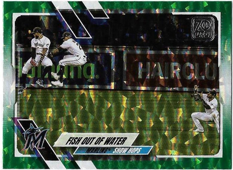 Fish out of Water [Green] #530