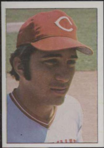 Johnny Bench #29