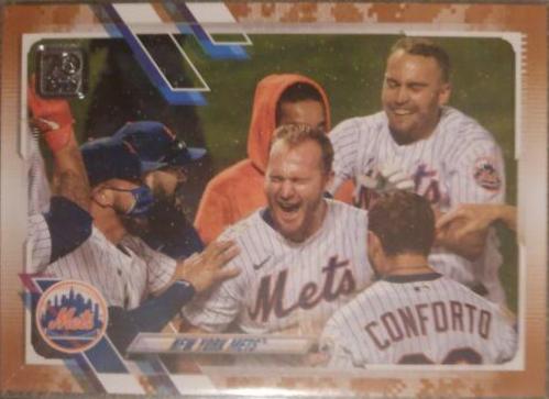 New York Mets [Memorial Day Camo] #555